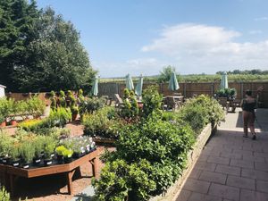 Outdoor area at Wild Root in Southport