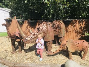 Model animals at Wild Root in Southport