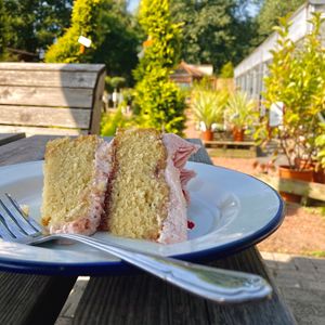 Best vegan cake!!  at Wild Root in Southport