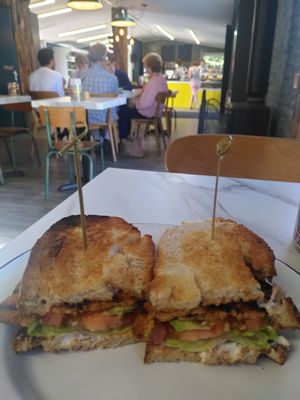 TLT at Wild Root in Southport