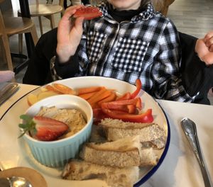 Kiddies “House Hummus Plate”   at Wild Root in Southport