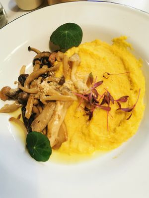  at Wild Root in Southport