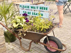   at Wild Root in Southport