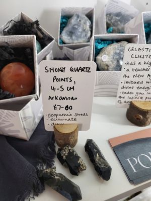  at Wild Root in Southport