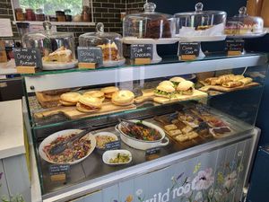  at Wild Root in Southport