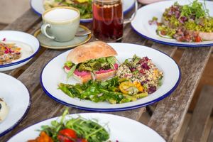  at Wild Root in Southport