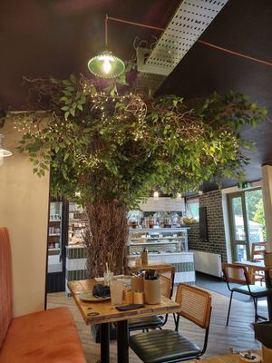 Beautiful cafe at Wild Root in Southport