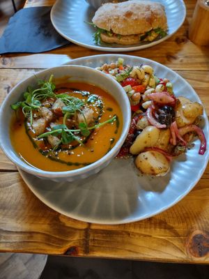Sweet potato and harissa soup with potato salad and greek pasta salad at Wild Root in Southport
