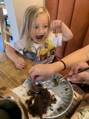 Triple chocolate cake   at Wild Root in Southport