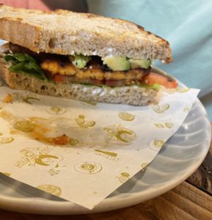 TLT  at Wild Root in Southport