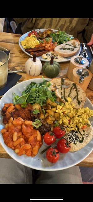   at Wild Root in Southport