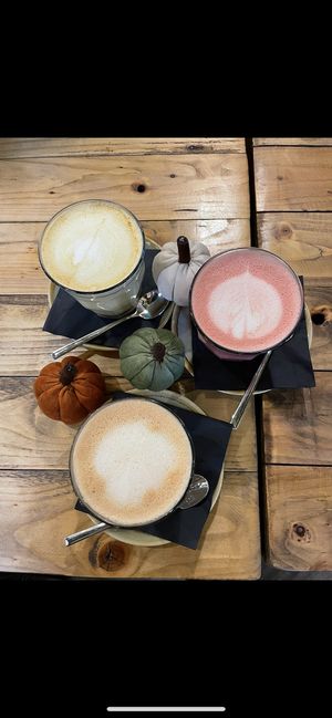   at Wild Root in Southport