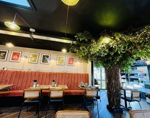   at Wild Root in Southport