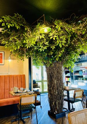   at Wild Root in Southport