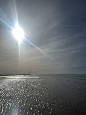   at Wild Root in Southport