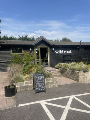   at Wild Root in Southport