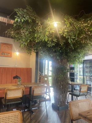   at Wild Root in Southport