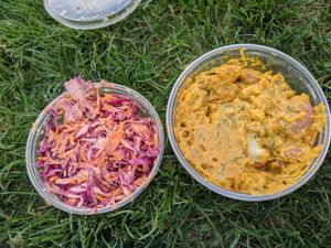 Slaw and potato salad at Blatch's Backyard BBQ - temporarily closed in Salt Lake City