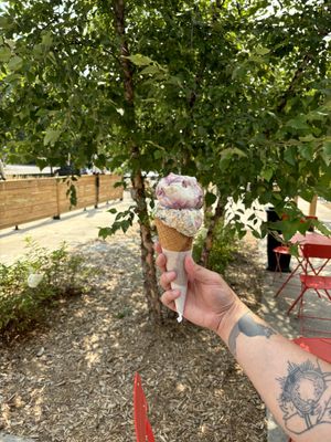 Blueberry lemon tart and birthday cake. The waffle cones are vegan and gluten free!  at Buttercreme in London