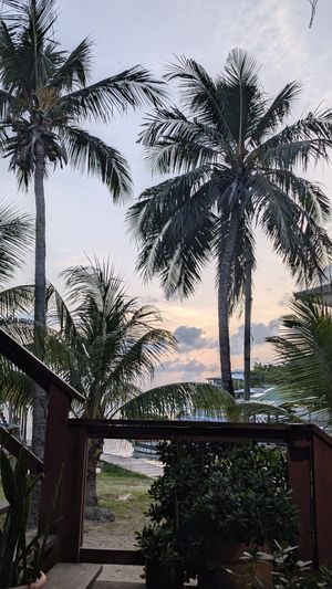 View from the restaurant at Thai Blue Elephant in Roatan