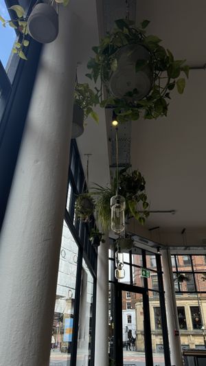   at The Green Lab in Manchester