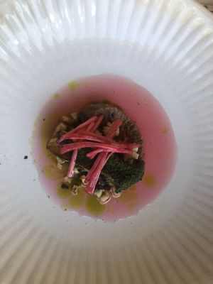   at SEPIA in Groningen