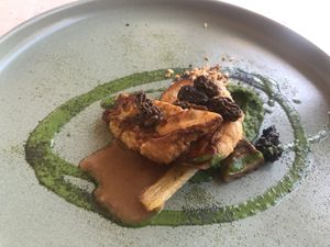 Mushroom galore  at SEPIA in Groningen