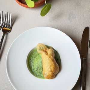 🌱🌱🌱  at SEPIA in Groningen