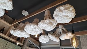  at Veganer  in Sarajevo