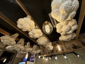   at Veganer  in Sarajevo