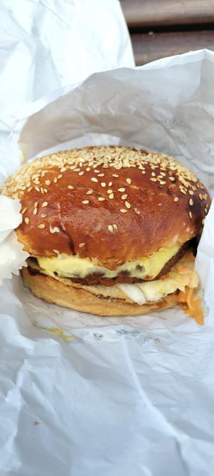 Cheeseburger at Veganer  in Sarajevo