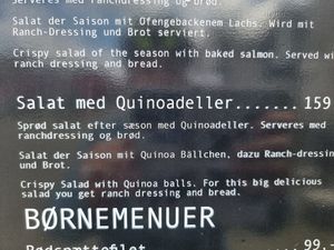 Vegan?? at Cafe Marina in Hvide Sande