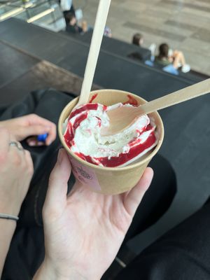 Not the prettiest picture, but it was nice to eat! Oatmilk based softserve and raspberry glazee  at Stach in Groningen