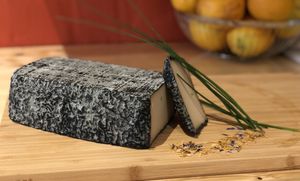 Cashewrellas „Plesse Blue“ Vega Gorgonzola Cheese at P-Cafe in Gottingen