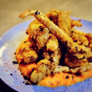 Oyster mushrooms at Brika in Perth