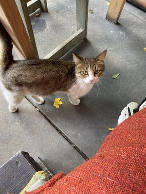   at Kchuch Restaurant in Dilijan