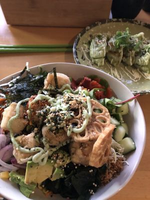 Vegan poke bowl with tofu and veg gyoza   at Kaze Bento in Mount Lawley