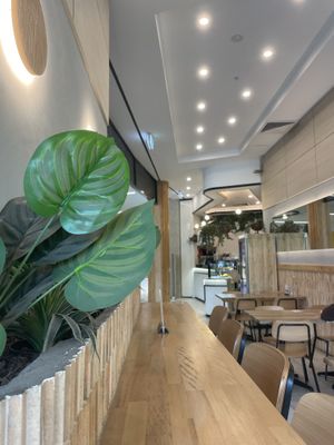  #Veganuary at The Sage Village in Campbelltown