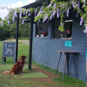 Treats for dogs and humans. at The Cabin At Berretts Farm in Henfield