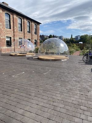 Outside space  at Holy Cow Lounge in Edinburgh