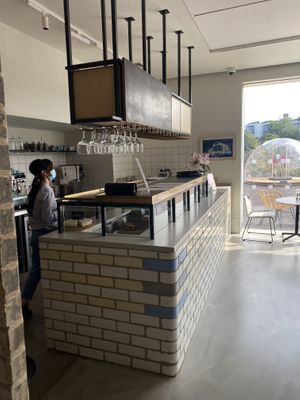 Counter at Holy Cow Lounge in Edinburgh