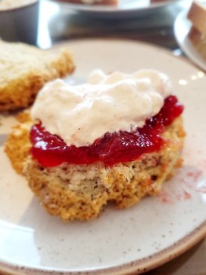  at Holy Cow Lounge in Edinburgh