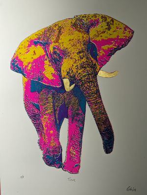  at Holy Cow Lounge in Edinburgh