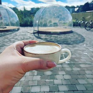 Chill at Holy Cow Lounge in Edinburgh