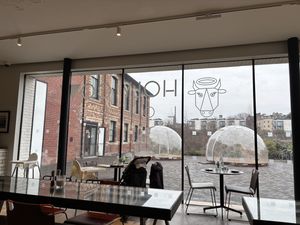   at Holy Cow Lounge in Edinburgh