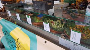 Fresh salads at Mel Tropical Kitchen - Euston Rd in North London