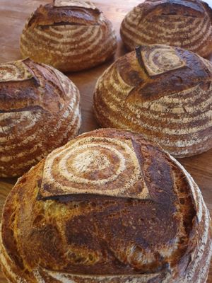 House sourdough bread, using organic flour, organic salt and water. at The Wild Pear Bakehouse in Hoylake