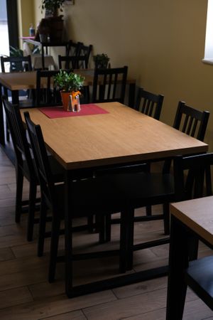 Interior - Wavegan at Wavegan in Gdansk