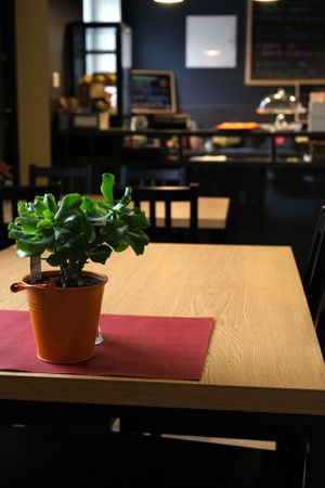 Interior - Wavegan at Wavegan in Gdansk