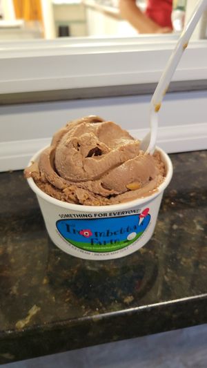 Chocolate peanut butter vegan ice cream at Trombetta's Farm in Marlborough